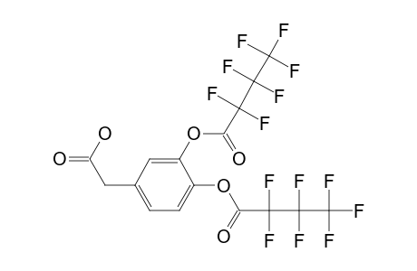 3,4-di(Heptafluorobytyryloxy)phenylacetic acid