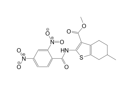 methyl 2-[(2,4-dinitrobenzoyl)amino]-6-methyl-4,5,6,7-tetrahydro-1-benzothiophene-3-carboxylate