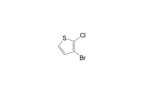 3-Bromo-2-chlorothiophene