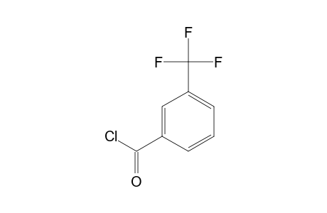 alpha,alpha,alpha-TRIFLUORO-m-TOLUOYL CHLORIDE