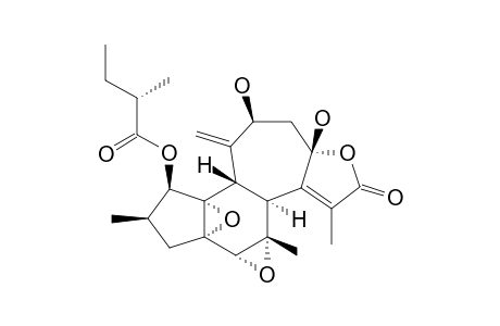 CROTOCASCARIN-GAMMA