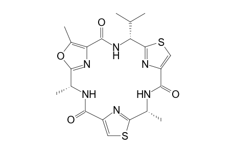 Dendroamide A