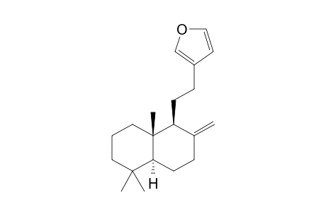 (+)-15,16-Epoxy-8(17),13(16),14-labdatriene