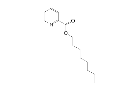 picolinic acid, octyl ester