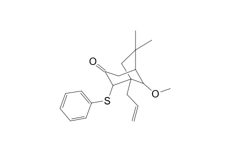 (1RS,2SR,5SR,8RS)-8-Methoxy-2-phenylthio-1-(2-propenyl)-6,6-dimethylbicyclo[3.2,1]octan-3-one