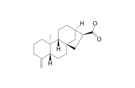 (4aR,6aS,8S,9R,11aR,11bR)-Tetradecahydro-11b-methyl-4-methylidene-6a,9-methanocyclohepta[a]naphthalene-8-carboxylic Acid