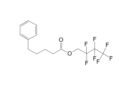 5-Phenylpentanoic acid, 2,2,3,3,4,4,4-heptafluorobutyl ester