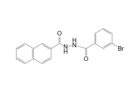 1-(m-bromobenzoyl)-2-(2-naphthoyl)hydrazine