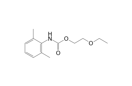 2,6-dimethylcarbanilic acid, 2-ethoxyethyl ester