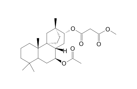 METHYL-THYRSIFLORIN-B-ACETATE