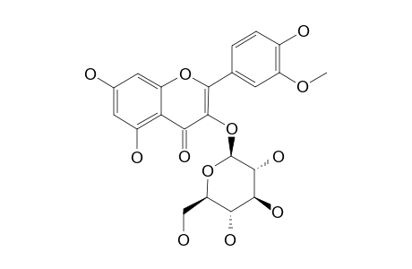 ISORHAMNETIN-3-O-BETA-GALACTOPYRANOSIDE