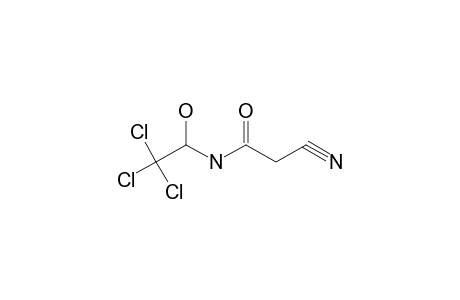 2-cyano-N-(1-hydroxy-2,2,2-trichloroethyl)acetamide