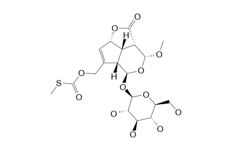 3,4-DIHYDRO-3-ALPHA-METHOXY-PAEDEROSIDE