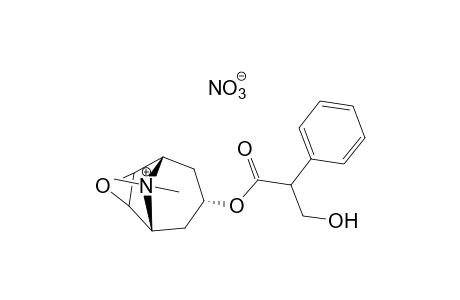 6beta,7beta-EPOXY-3alpha-HYDROXY-8-METHYL-1alphaH,5alphaH-TROPANIUM NITRATE,(-)-TROPATE (ESTER)