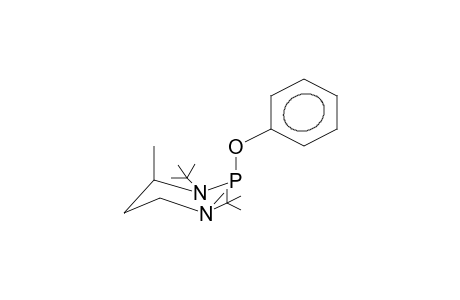 TRANS-1,3-DI-TERT-BUTYL-2-PHENOXY-4-METHYL-1,3,2-DIAZAPHOSPHORINANE