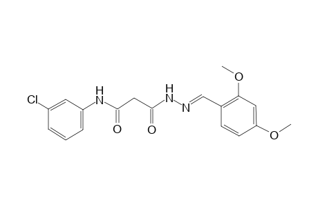 beta-alanine, N-(3-chlorophenyl)-3-oxo-, 2-[(E)-(2,4-dimethoxyphenyl)methylidene]hydrazide