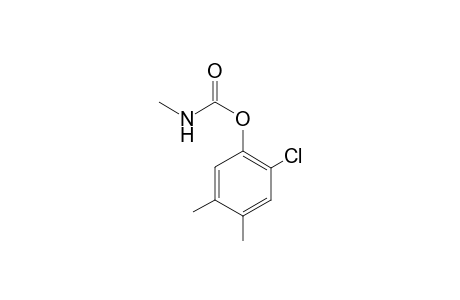 Carbamic acid, methyl-, 6-chloro-3,4-xylyl ester