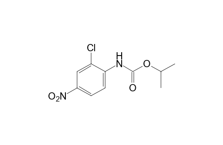 2-chloro-4-nitrocarbanilic acid, isopropyl ester