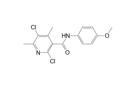 2,5-Dichloro-N-(4-methoxy-phenyl)-4,6-dimethyl-nicotinamide