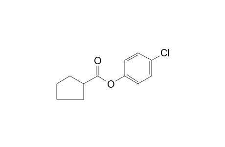 Cyclopentanecarboxylic acid, 4-chlorophenyl ester