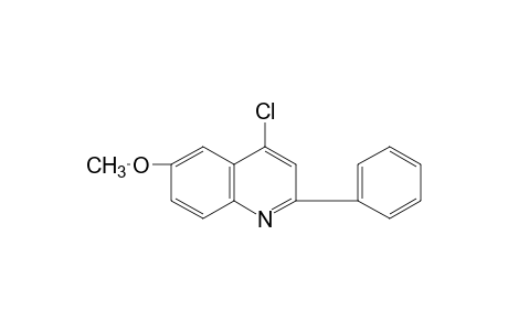 4-chloro-6-methoxy-2-phenylquinoline