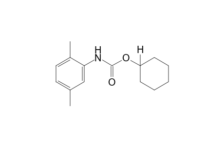 2,5-dimethylcarbanilic acid, cyclohexyl ester