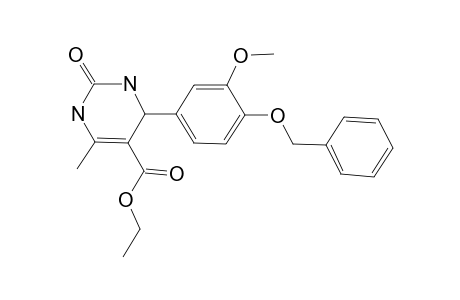 4-(3-Methoxy-4-phenylmethoxyphenyl)-6-methyl-2-oxo-3,4-dihydro-1H-pyrimidine-5-carboxylic acid ethyl ester