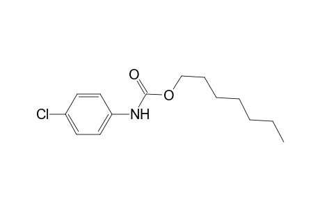 p-chlorocarbanilic acid, heptyl ester