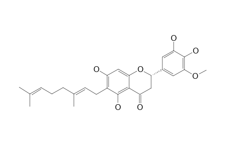 6-GERANYL-4',5,5',7-TETRAHYDROXY-3'-METHOXY-FLAVANONE