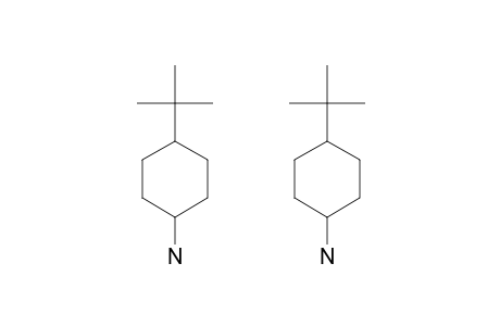 4-tert-Butylcyclohexylamine