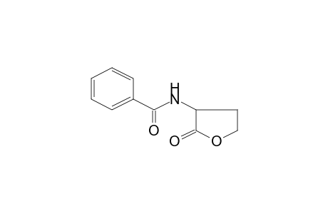 N-(2-Oxo-tetrahydrofuran-3-yl)benzamide