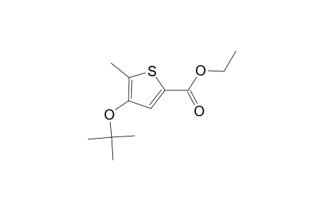 2-Thiophenecarboxylic acid, 4-tert-butoxy-5-methyl-, ethyl ester