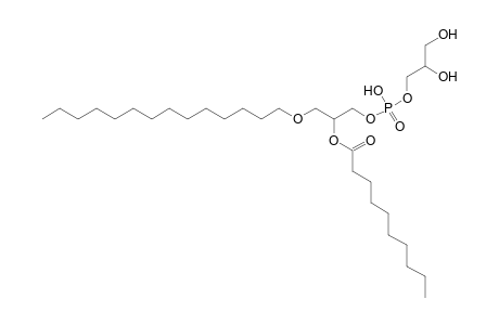 PG O-14:0_10:0