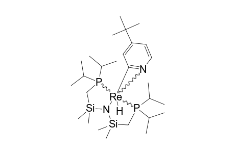 [PNP-(I-PR)]-REH-(4-TERT.-BUTYL-2-PYRIDYL)