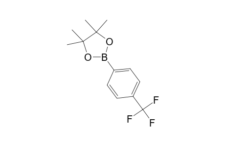 4-(4,4,5,5-TETRAMETHYL-1,3,2-DIOXABOROLANE-2-YL)-BENZOTRIFLUORIDE