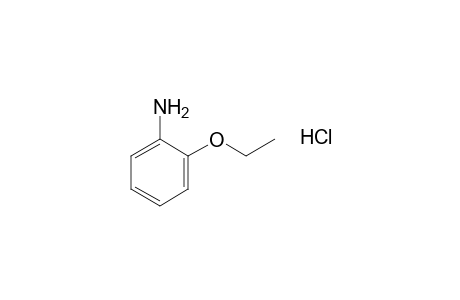 o-phenetidine, hydrochloride