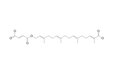 BOLETININ_H