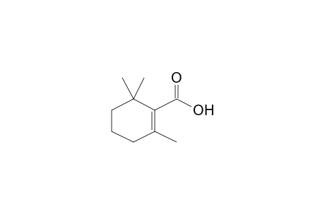 2,6,6-Trimethyl-1-cyclohexene-1-carboxylic acid