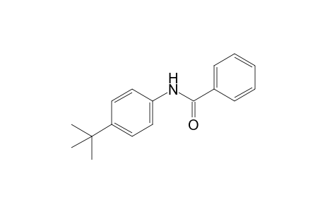 4'-tert-BUTYLBENZANILIDE