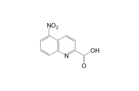5-nitroquinaldic acid