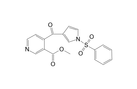 4-(1-phenylsulfonylpyrrole-3-carbonyl)nicotinic acid methyl ester