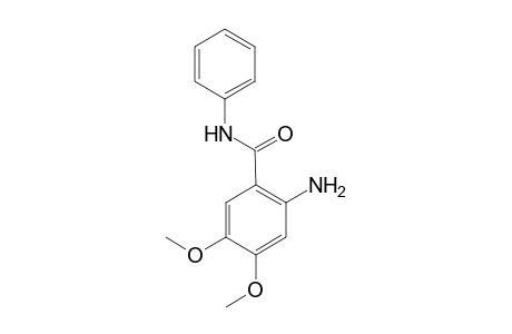 2-amino-4,5-dimethoxy-N-phenylbenzamide