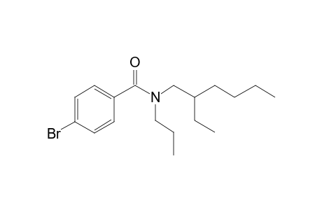 Benzamide, 4-bromo-N-propyl-N-(2-ethylhexyl)-