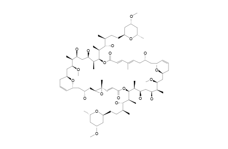 SWINHOLIDE-J