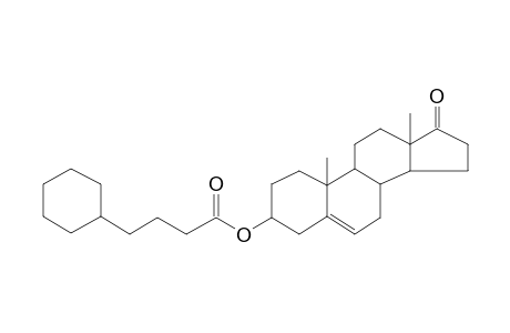 5-Dehydro-epi-androsterone cyclohexylbutyrate