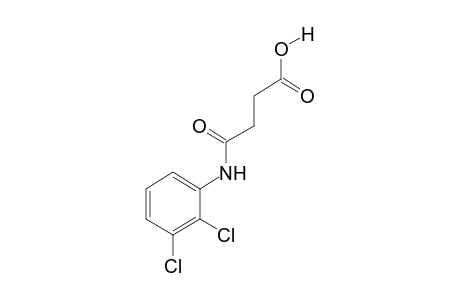 2',3'-dichlorosuccinanilic acid