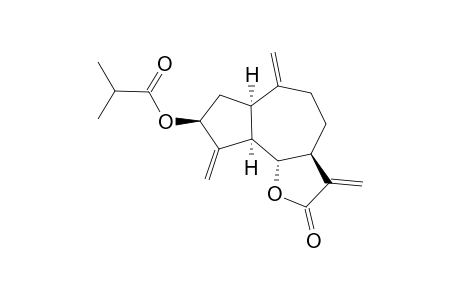 Zaluzanin C isobutyrate