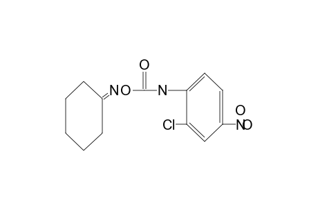cyclohexanone, O-[(2-chloro-4-nitrophenyl)carbamoyl]oxime