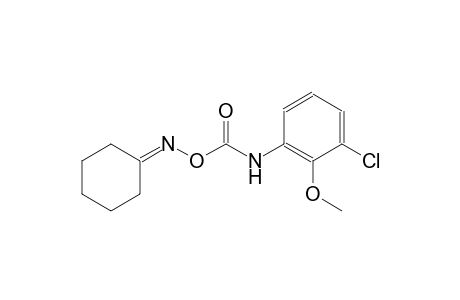 cyclohexanone, O-[(3-chloro-2-methoxyphenyl)carbamoyl]oxime