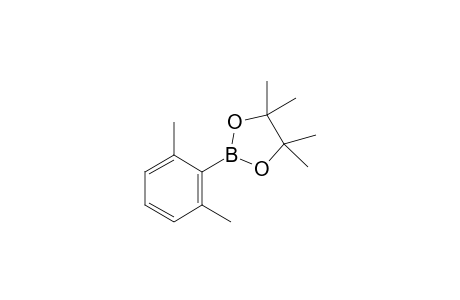 2,6-ME(2)-C6H3-B-(O2C2ME4)